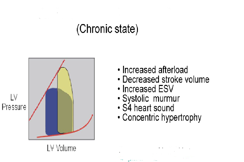 Cause Of Valvular Heart Disease